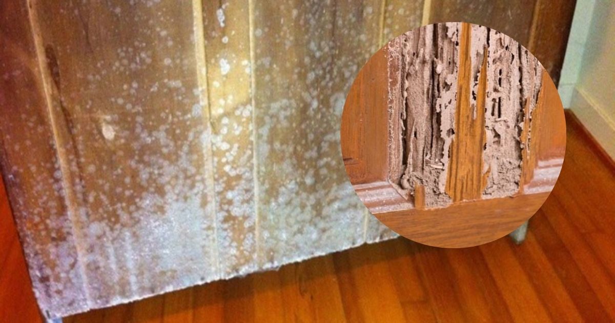 So sánh chi tiết giữa nhựa và gỗ công nghiệp về độ bền, chi phí và ứng dụng thực tế.