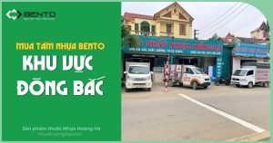 Giới thiệu nguồn cung tấm nhựa Bento cho các tỉnh Đông Bắc cùng giải pháp giao hàng nhanh và ổn định.
