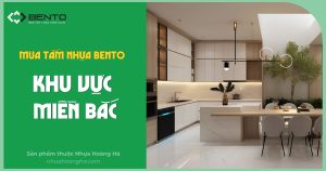 Tổng kho tấm nhựa Bento miền Bắc, cung cấp hàng cho Hưng Yên và các tỉnh lân cận với giá sỉ và giao hàng nhanh.